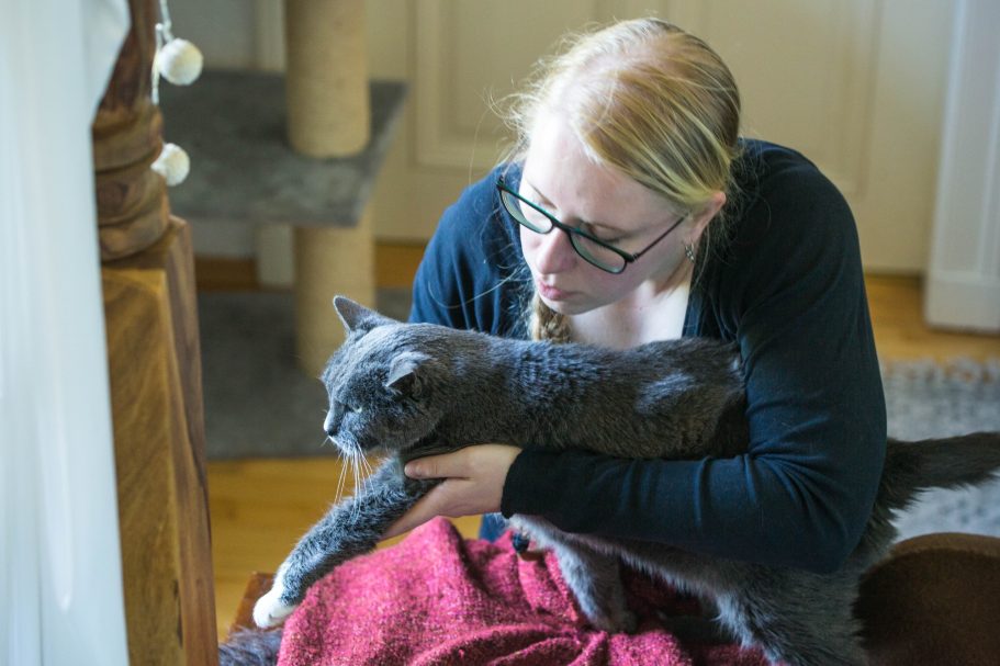 Therapieangebote Mobile Tierphysiotherapie Jillian Bone in Ostfriesland