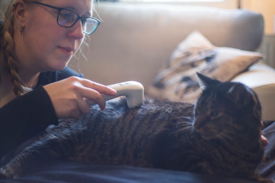 Therapieangebote Mobile Tierphysiotherapie Jillian Bone in Ostfriesland