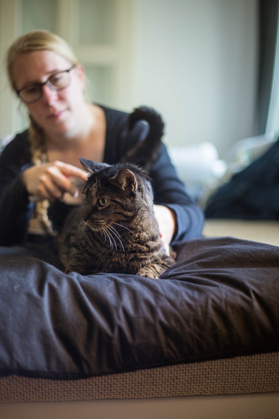 Therapieangebote Mobile Tierphysiotherapie Jillian Bone in Ostfriesland